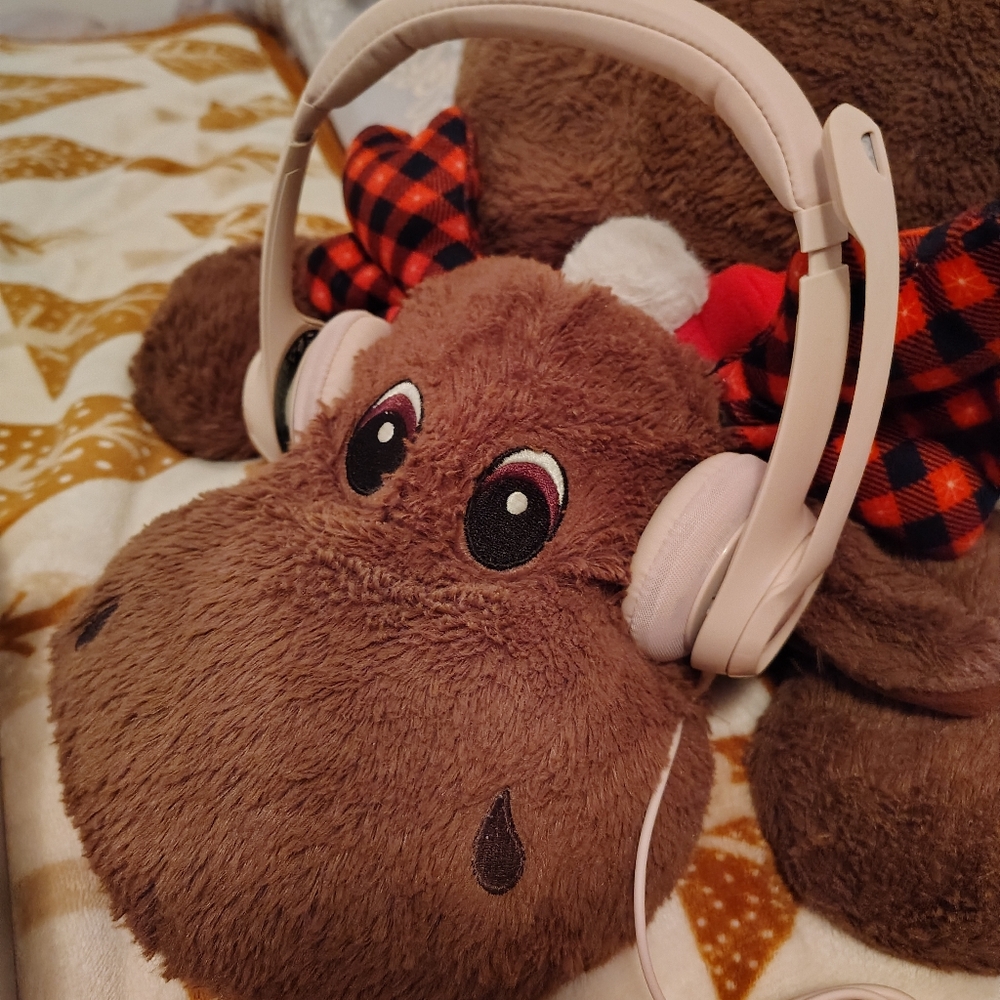 🌞Sold🌞H390 USB Computer Headset